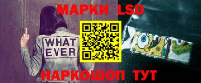прущие грибы Гусиноозёрск