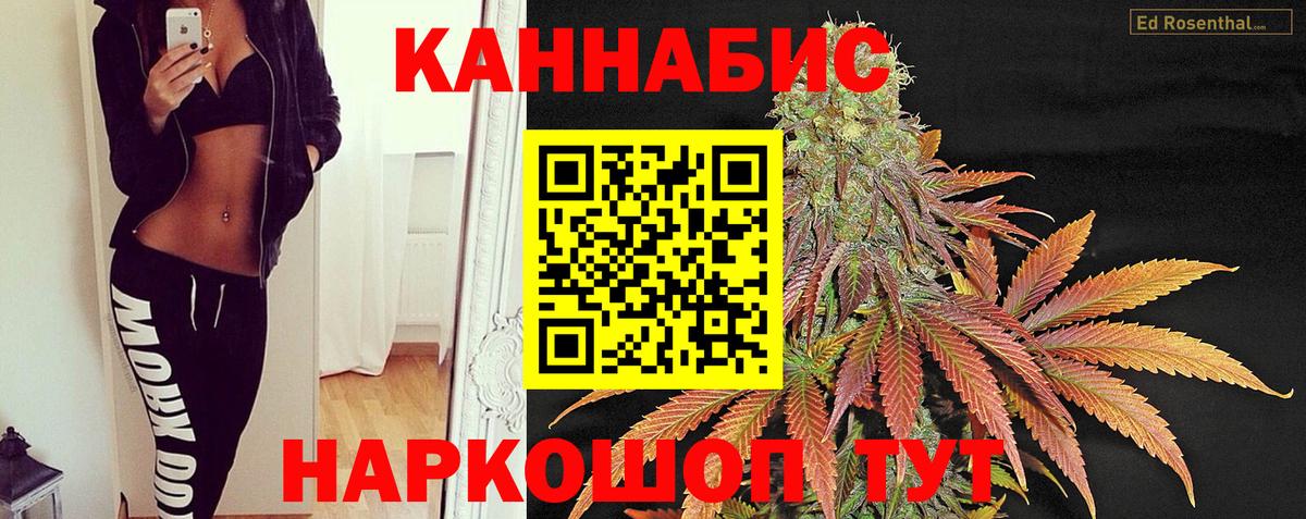 Мариинск  Канабис план  Марихуана планчик  Каннабис индика  Бошки марихуана OG Kush  Вход с VPN 